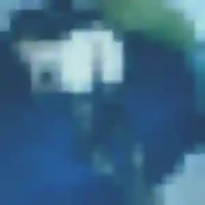Profil de Vanessa à Poisat (36 ans) - plan cul sans inscription