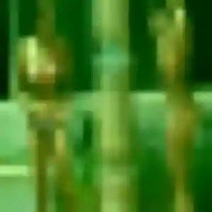 Rania, 27 ans, dispo pour plan cul à Pollestres