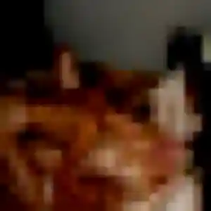Lola, 44 ans, connectée à Pomas pour une rencontre coquine