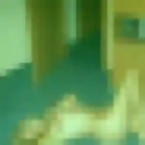 Leontine, 40 ans, disponible à Poncins pour une rencontre coquine
