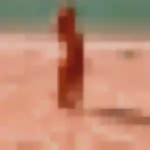 Flavia de Port-Saint-Père, 36 ans - plan cul discret
