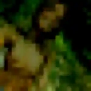 Charmante Helene, 38 ans à Porte-de-Savoie - la contacter
