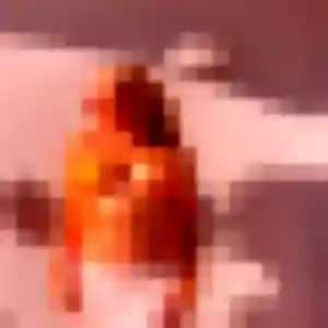 Photo sexy de Agnes, 40 ans à Précy-sous-Thil - rencontre coquine