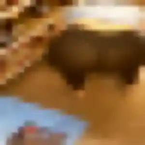 Oumaima, 34 ans, dispo pour plan cul à Presles