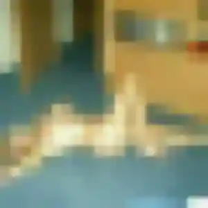 Jessica, fille de 35 ans cherche plan cul à Prunay-en-Yvelines