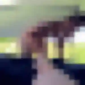 Photo de Svetlana à Quiberon (27 ans) - plan cul gratuit