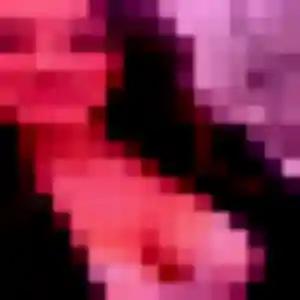 Photo sexy de Blanche, 42 ans à Quinçay - rencontre coquine