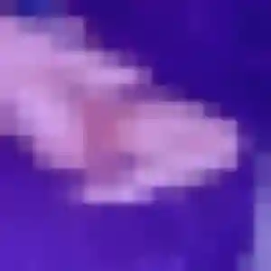 Jolie Lisette, 41 ans à Rambouillet - la contacter