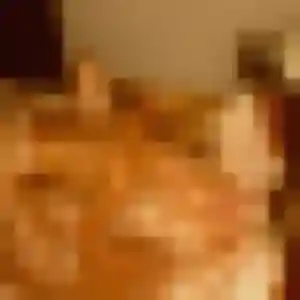 Yasmina, 22 ans, disponible à Riec-sur-Bélon pour un plan cul
