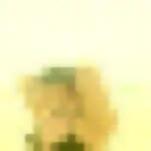 Belle Eleonore, 29 ans à Rieux - la contacter