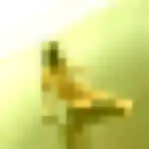 Sarah, 27 ans, disponible à Rimeize pour une rencontre coquine