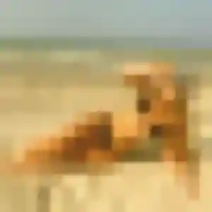 Photo exclusive de Zelda, 30 ans à Rivas - rencontre sans lendemain