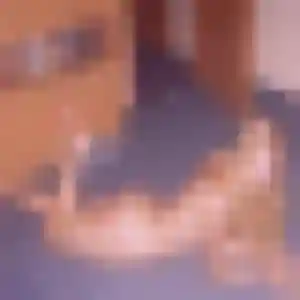 Sylviane, 26 ans, disponible à Rivery pour un plan cul