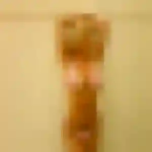 Yasmina (34 ans) à Rivery cherche une rencontre rapidement