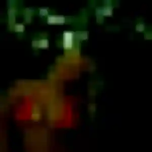 plan cul à Roaillan : photo de Lisette, 30 ans - sans engagement