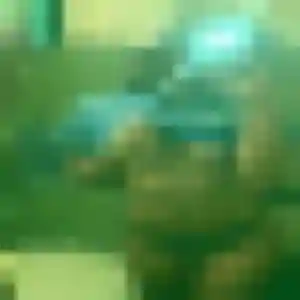 Jean-Marie, 25 ans, connectée à Robecq pour une rencontre coquine