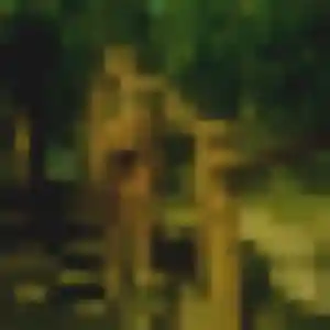 Photo de Salome à Romanèche-Thorins (43 ans) - plan cul anonyme