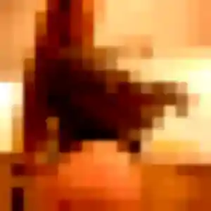 Claire, 24 ans, en ligne à Rouy pour une rencontre coquine