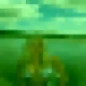 Phoebe, fille de 27 ans cherche plan cul à Sablons sur Huisne