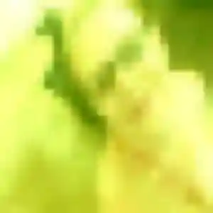 Fanny, fille de 35 ans cherche plan cul à Saint-André-d'Embrun