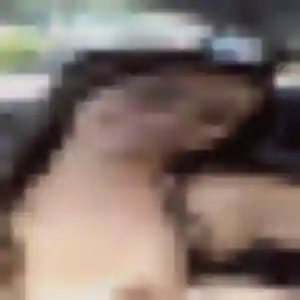 Rose-Marie, 35 ans, dispo pour plan cul à Saint-Armel