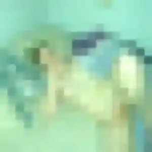 Wahiba de Saint-Aubin-sur-Quillebeuf, 36 ans - plan cul discret