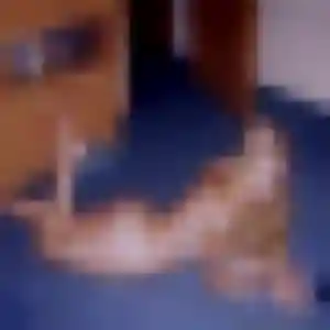 Photo sexy de Suzanne, 35 ans à Saint-Aulaire - rencontre coquine