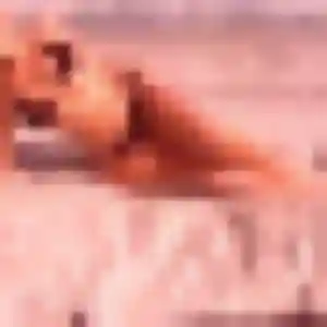 Eleonore, fille de 22 ans cherche plan cul à Saint-Avaugourd-des-Landes