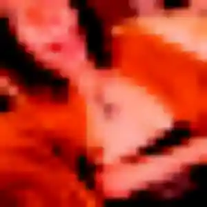 Photo exclusive de Soraya, 24 ans à Saint-Blaise-du-Buis - rencontre sans lendemain