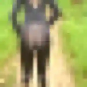 Sexy Laure, 41 ans à Saint-Briac-sur-Mer - découvrir son profil
