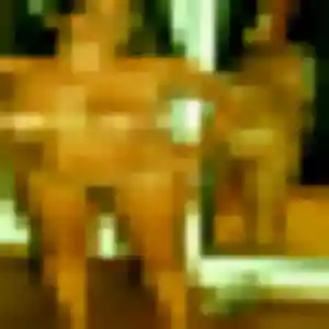 Barbara, fille de 36 ans cherche plan cul à Saint-Brice