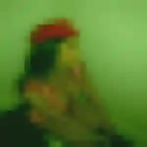Belle Anna, 36 ans à Saint-Cernin - la contacter