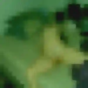 Rencontre Ameline, 31 ans à Saint-Chef en privé