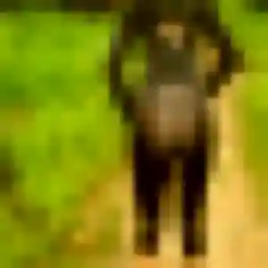 Xaviere, 34 ans, en ligne à Saint-Christoly-de-Blaye pour une rencontre coquine