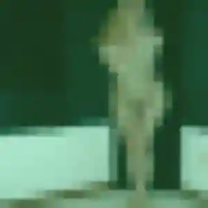Photo privée de Graziella, 36 ans à Saint-Cosme-en-Vairais - rencontre coquine