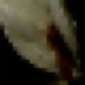 Delia (31 ans) à Saint-Denis-sur-Coise cherche un plan cul ce soir