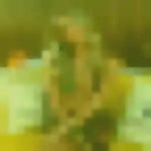 Lea de Saint-Didier-sous-Aubenas, 27 ans - plan cul sans lendemain
