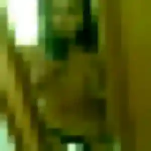 Photo de Fiona à Saint-Ferréol-d'Auroure (34 ans) - plan cul discret