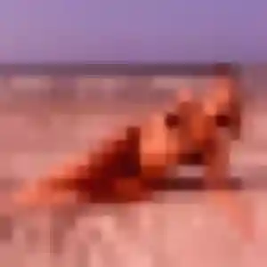Photo de Caroline à Saint-Genouph (27 ans) - plan cul anonyme