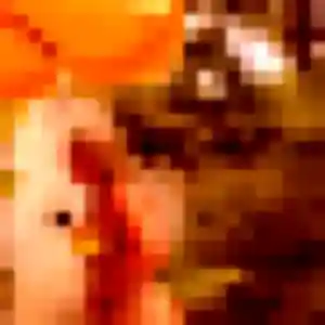 Pauline, 41 ans, connectée à Saint-Gérand-Croixanvec pour une rencontre coquine