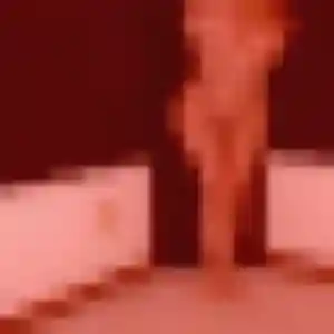 Charmante Alienor, 29 ans à Saint-Germain-la-Blanche-Herbe - la contacter