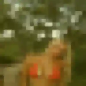 Photo sexy de Nolwenn, 44 ans à Saint-Germain-Lembron - rencontre coquine