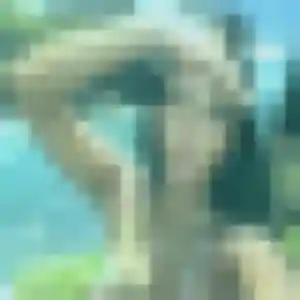 Audrey, 22 ans, dispo pour plan cul à Saint-Germain-Nuelles