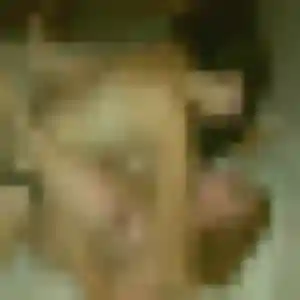 Vanessa de Saint-Germain-sur-Morin, 33 ans - plan cul sans lendemain