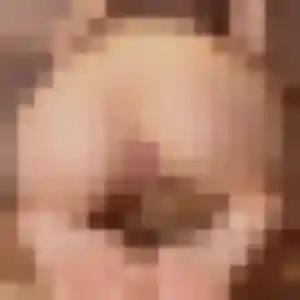 Photo privée de Nathalie, 34 ans à Saint-Hilaire-la-Gravelle - plan discret