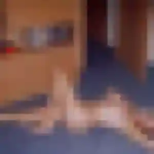 Charmante Svetlana, 34 ans à Saint-Hippolyte - voir sa photo
