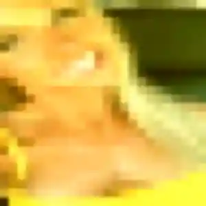 Photo de Jade à Saint-Just-Chaleyssin (31 ans) - plan cul discret