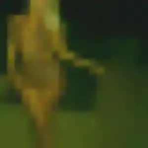 Photo privée de Daphne, 28 ans à Saint-Laure - rencontre sans lendemain