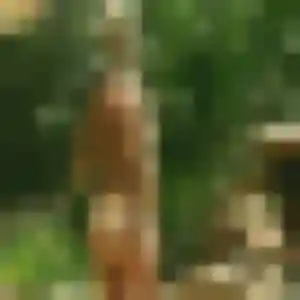 Profil de Lisa à Saint-Laurent-d'Arce (40 ans) - plan cul anonyme