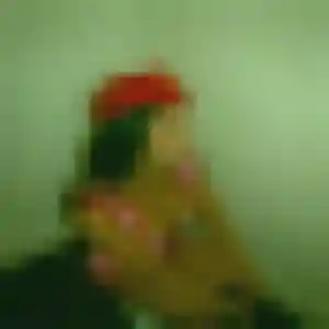 Estee de Saint-Laurent-de-Chamousset, 41 ans - plan cul discret